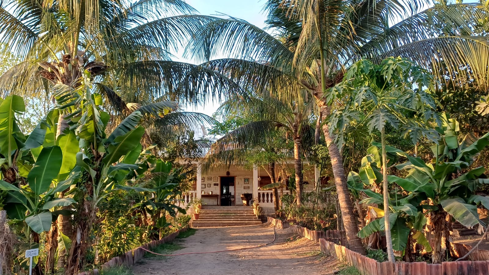 Falgunsinh Jhala