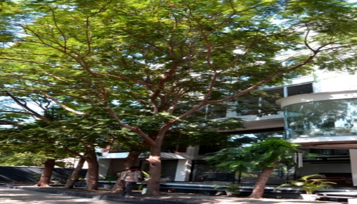 Homestay 3