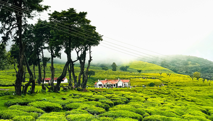 Tamilnadu  Kerala  Madurai  Kodaikanal  Rameswaram  Kanyakumari  Kovalam