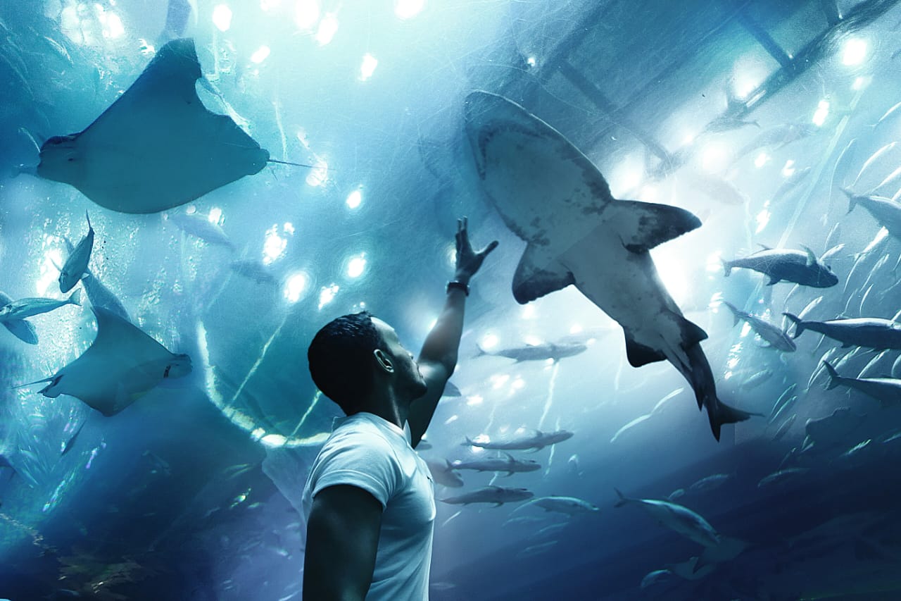 04 Nights / 05 Days | Dubai with Abu Dhabi Day Trip |